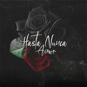 Álbum Hasta Nunca Amor de Chili Fernández