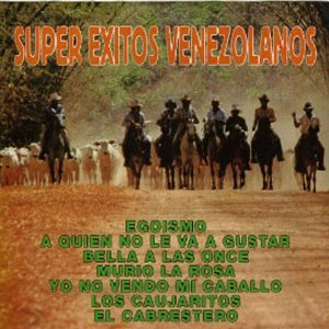 Álbum Súper Éxitos Venezolanos de Cruz Tenepe