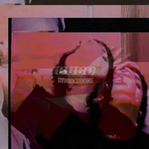 Álbum Hydrocodone de Cuco