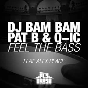 Álbum Feel the Bass de DJ Bam Bam