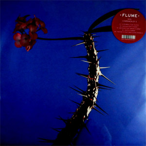 Álbum Skin Companion EP II de Flume