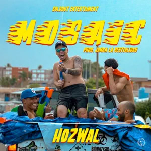 Álbum Mosaic de Hozwal
