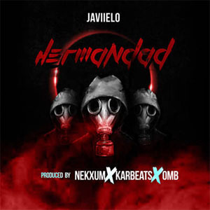 Álbum Hermandad de Javiielo