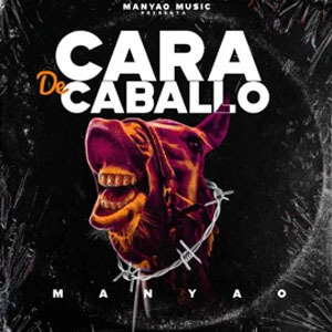 Álbum Cara De Caballo de Manyao
