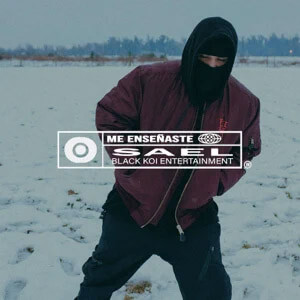 Álbum Me Enseñaste de Sael