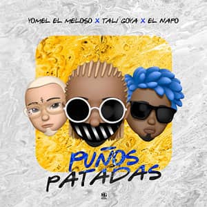 Álbum Puños Patadas de Tali Goya