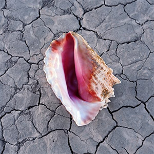 Álbum Run For Cover de The Killers
