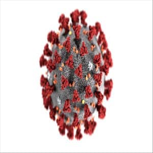 Álbum El Virus de Valtònyc